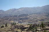 The Colca Valley is one of the most intensively terraced regions in the Andes 